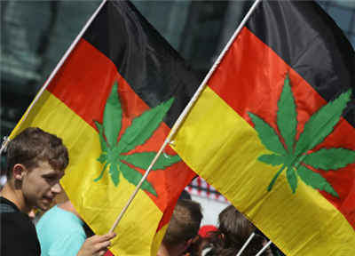 Vācijā kaņepes daļēji dekriminalizētas